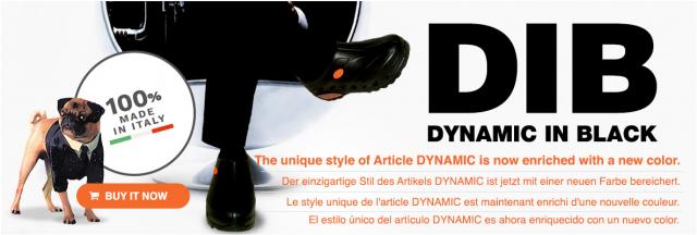 DIB__Dynamic_in_Black